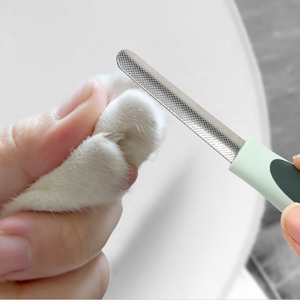 The Perfect Pet Professional 8 in 1 Dog Grooming Kit
