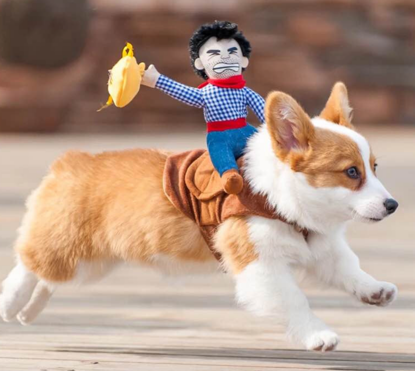 Teddy Man Rider Doggy Outfit