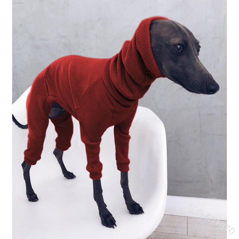 Whippet Italian Lightweight Greyhound Outfit
