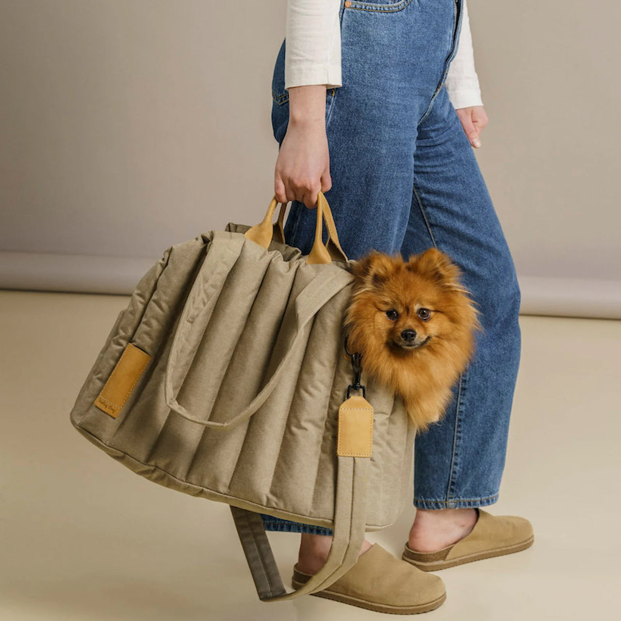 The Chic Dog/Cat Pet Handbag
