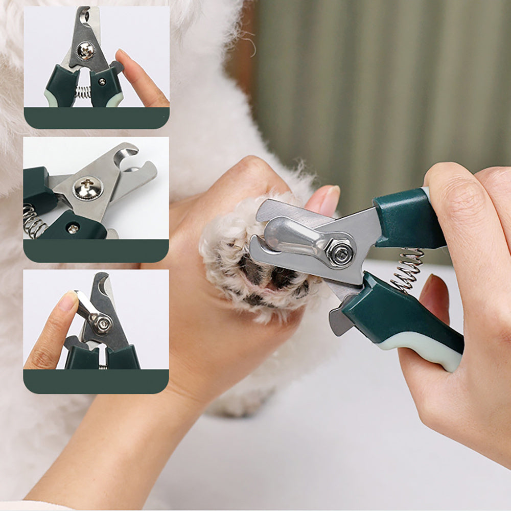 The Perfect Pet Professional 8 in 1 Dog Grooming Kit