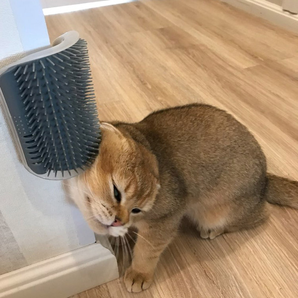 Large Cat Self Scratch Grooming Brush- Wall Rubbing Device