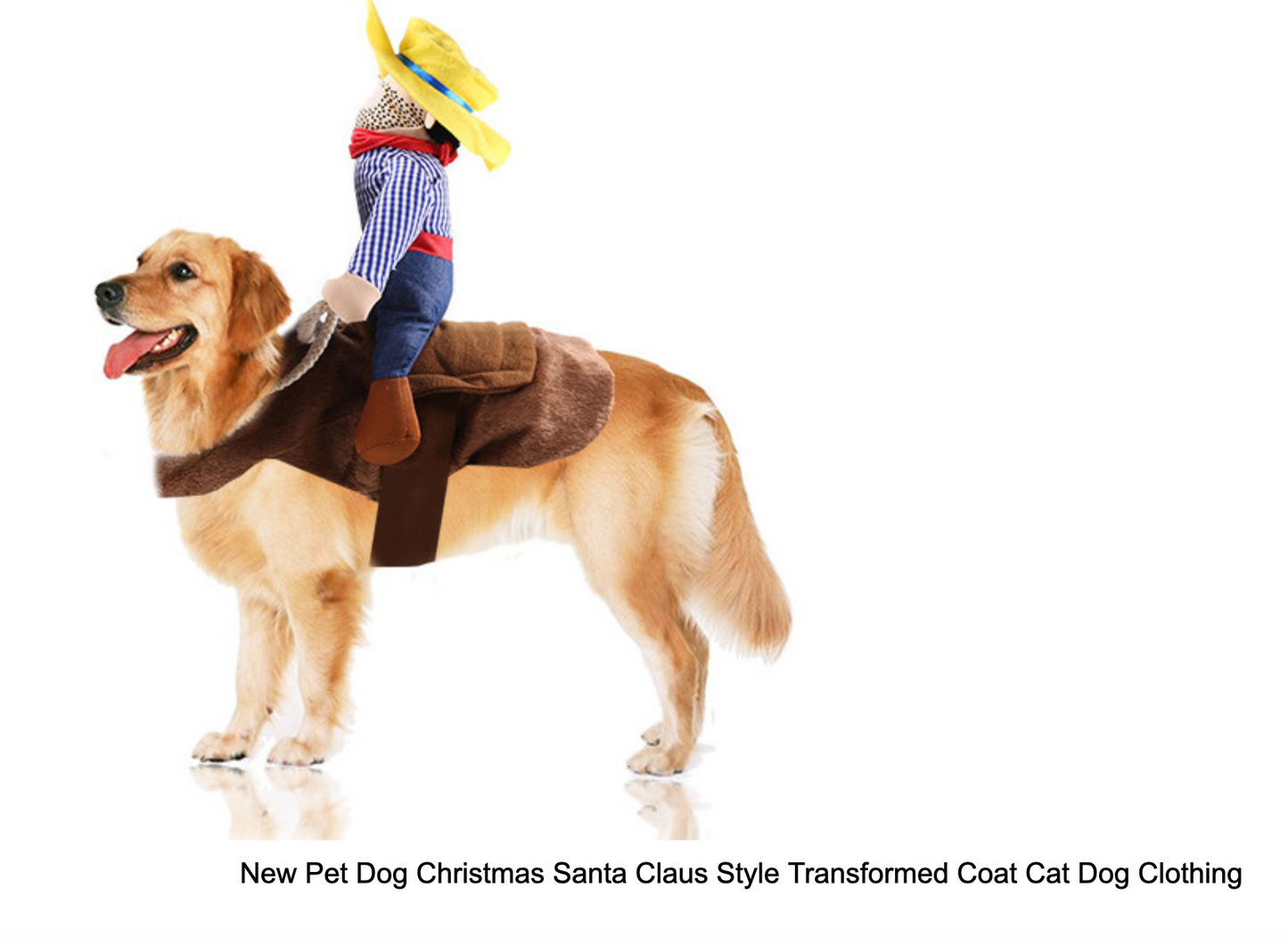 Teddy Man Rider Doggy Outfit