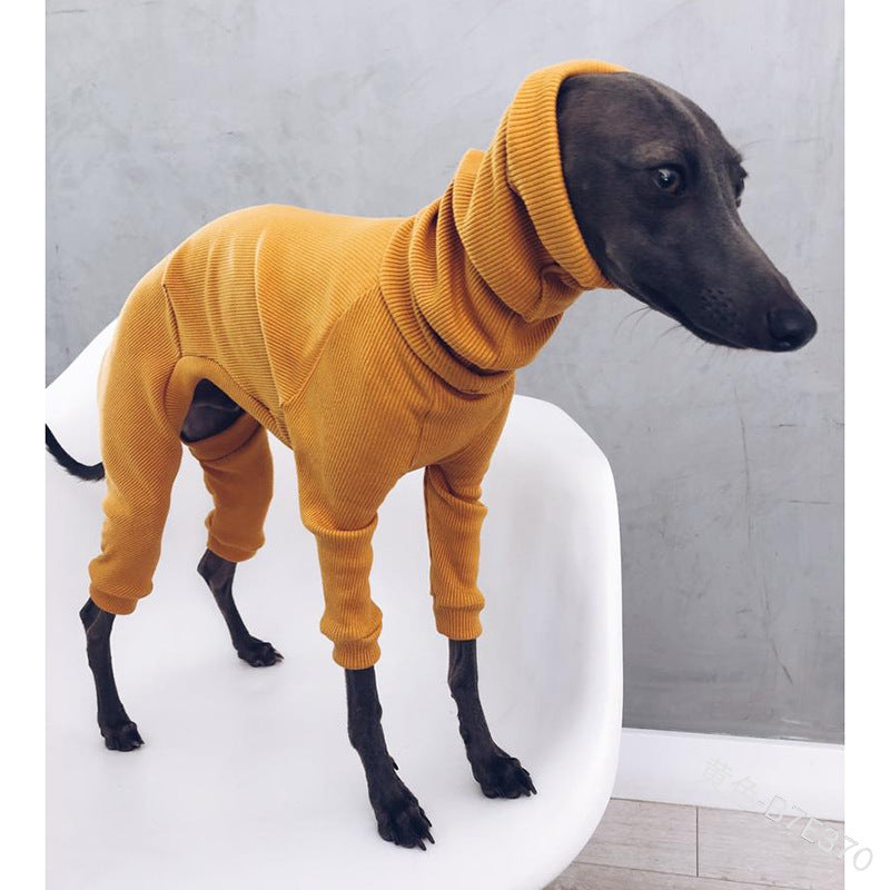 Whippet Italian Lightweight Greyhound Outfit
