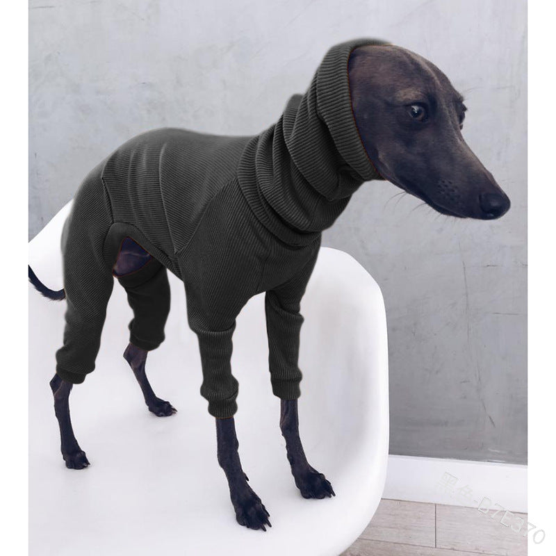 Whippet Italian Lightweight Greyhound Outfit