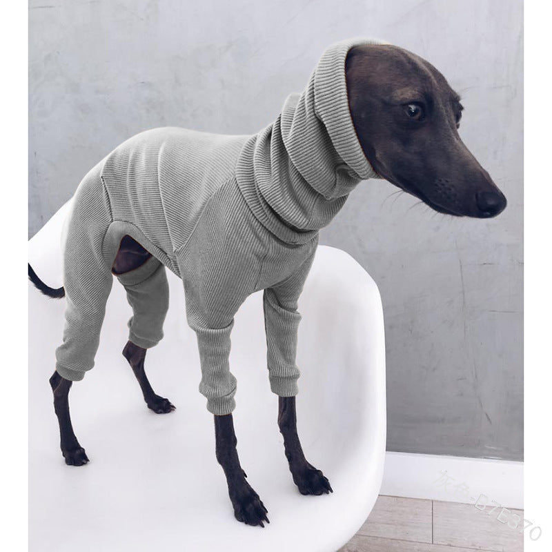 Whippet Italian Lightweight Greyhound Outfit