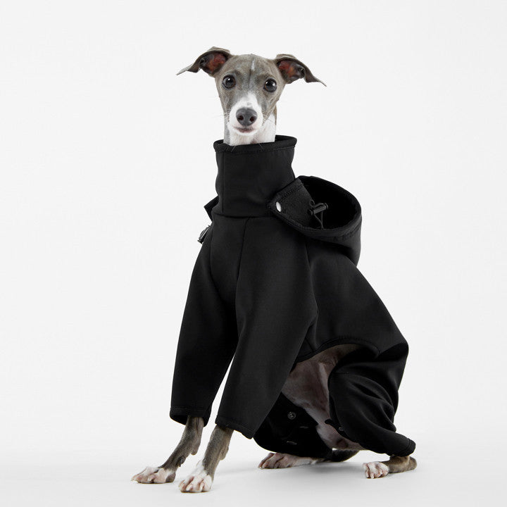 Luxury Cozy Couture Windproof Jacket with Luxury Gift Box